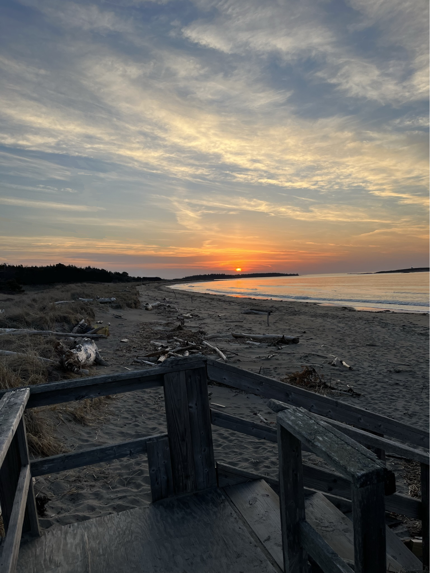 Sunset over a beach with driftwood, with wooden stairs in the foreground.