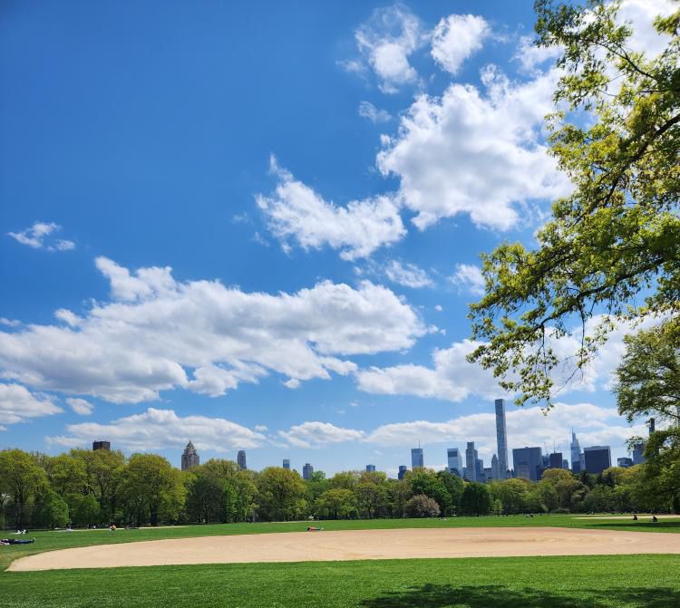 A view of Central Park.