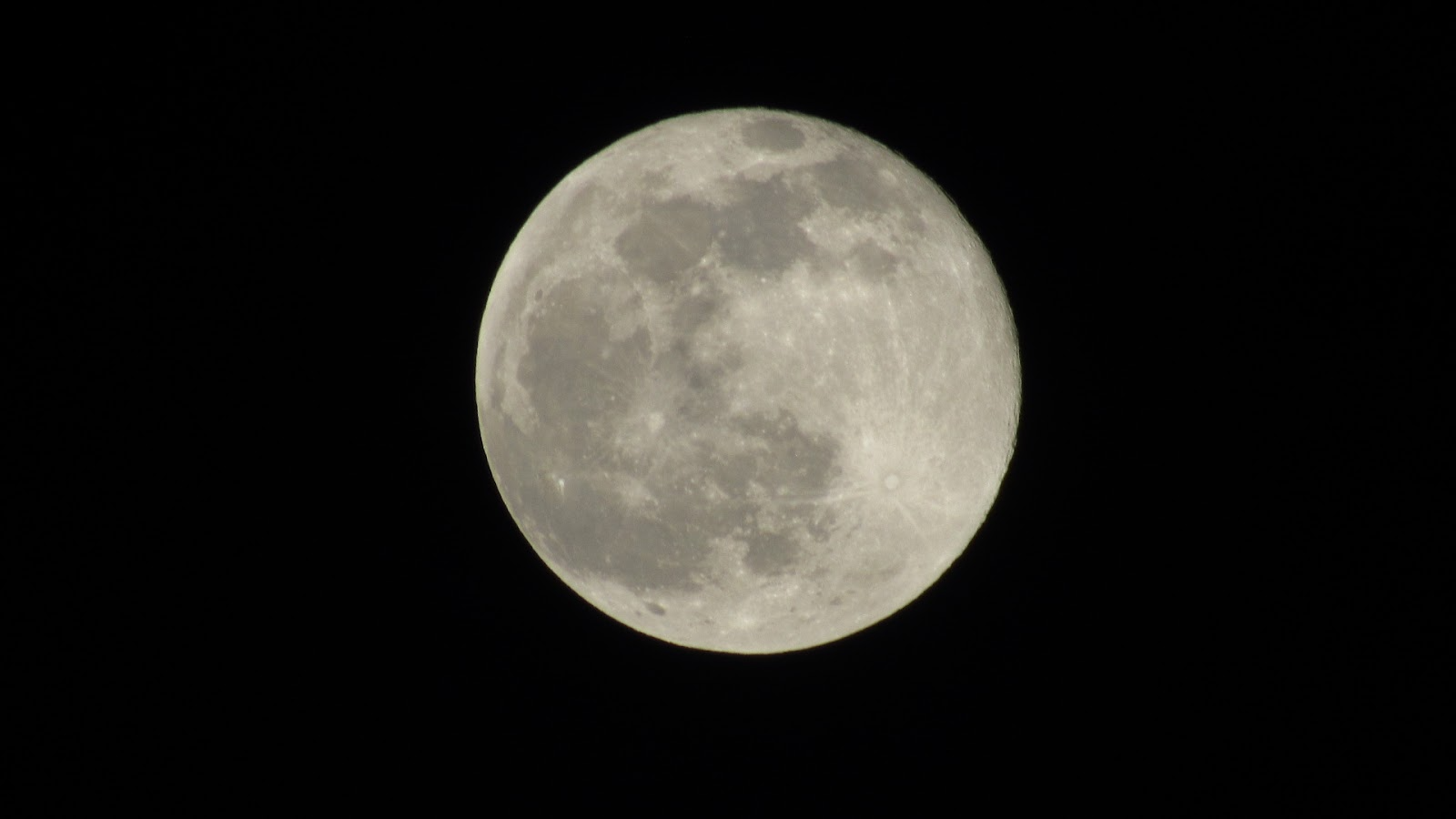 The moon, centered in a completely dark night sky.