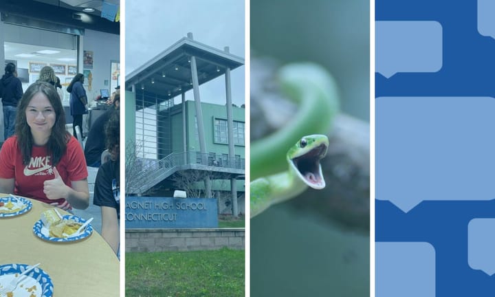 Students enjoy cultural dishes, the exterior of MSMHS, a lunging snake, and quote bubbles.